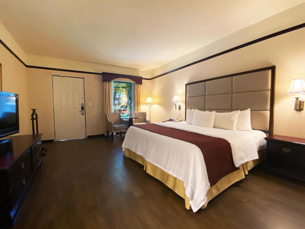 Garden King Room