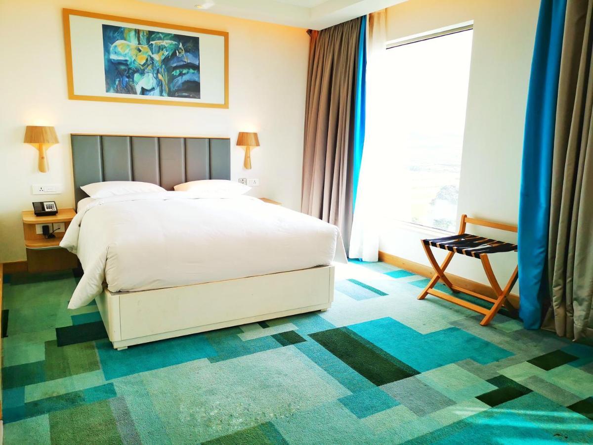 Standard King Room Accessible