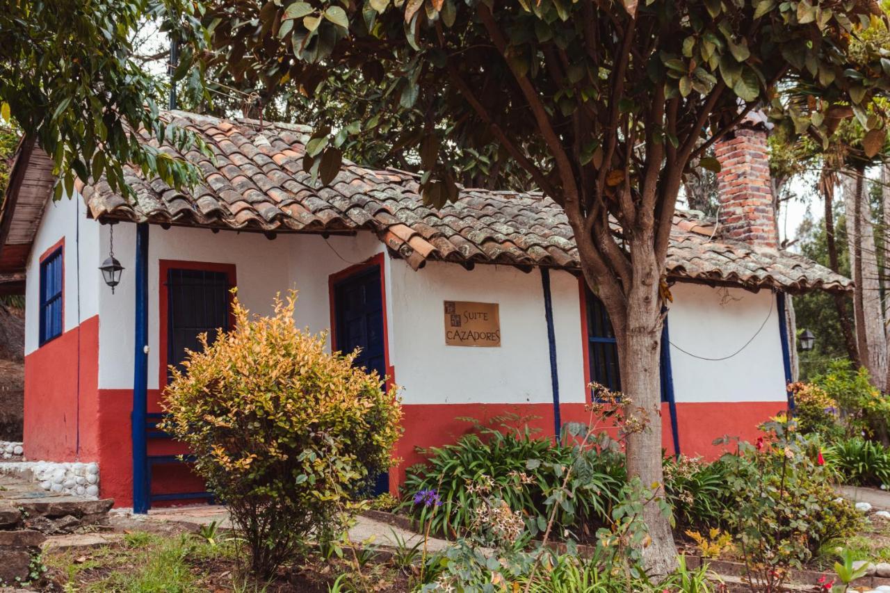 Suite Estándar
