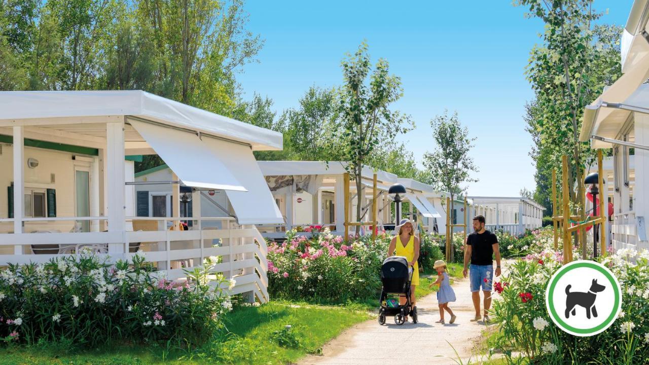 Mobile Home 2 Chambres Plus Grand - Vue sur Jardin