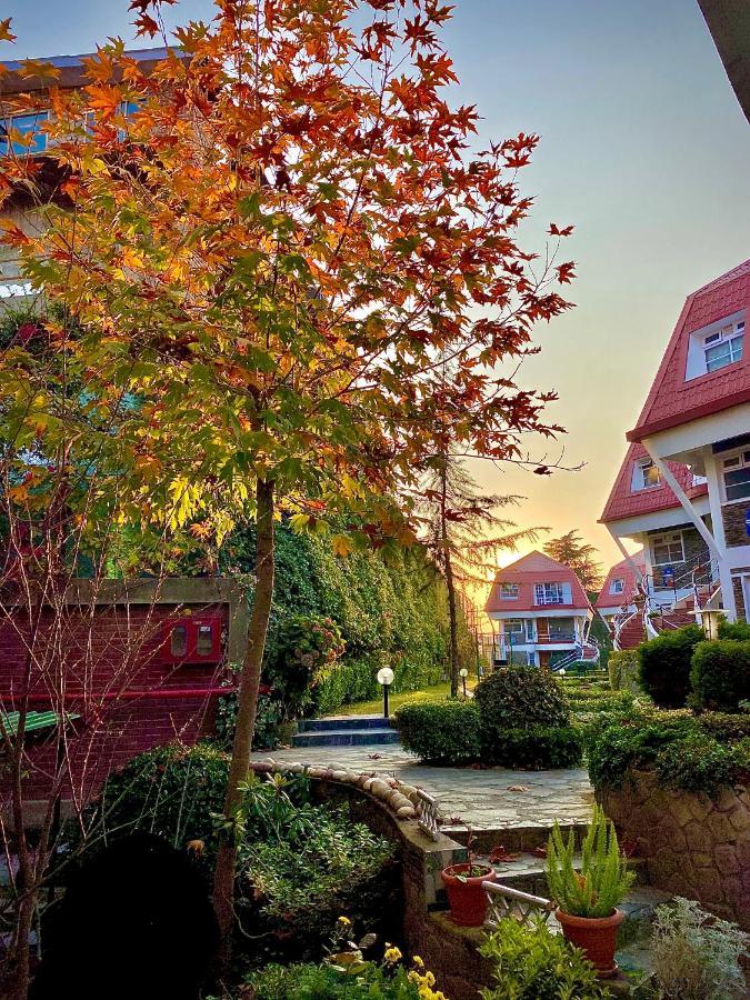 Swiss Duplex Cottage Valley Facing 02 Bedrooms 01 living Room Complimentry Evening Tea-Coffee cookies at open terrace