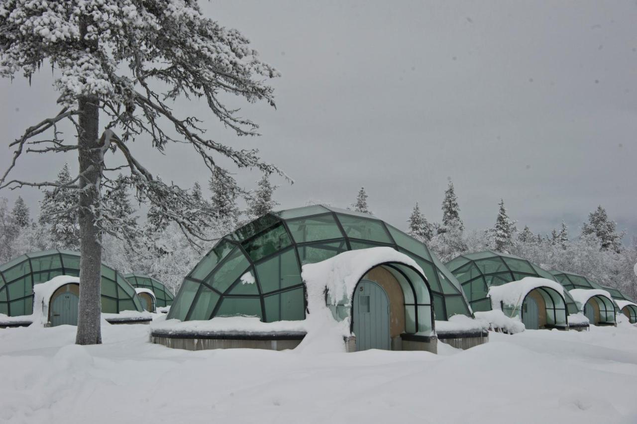 West Glass Igloo (2 Adults)