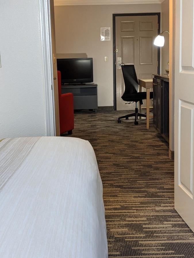 One-Bedroom King Suite Sofa Bed Non-Smoking