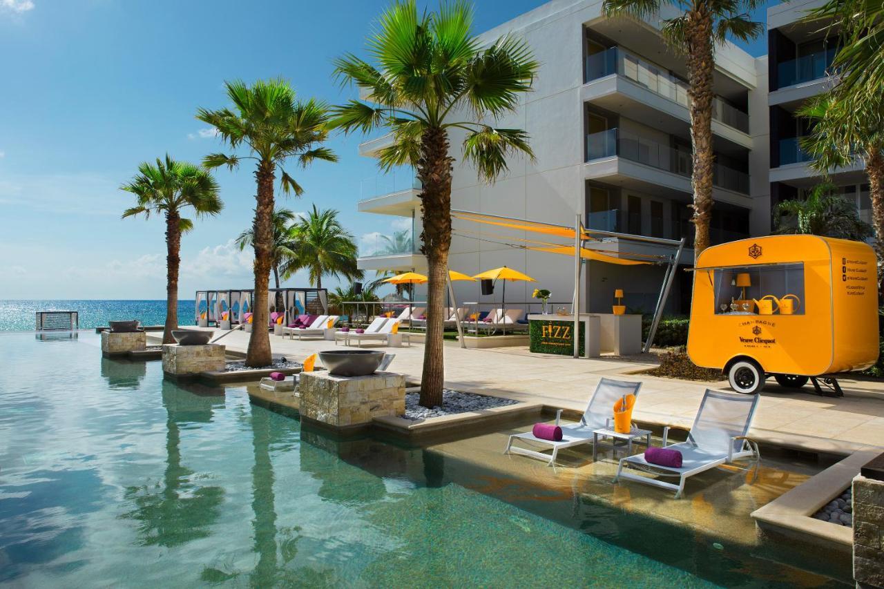 Xcelerate Junior Suite Tropical View King