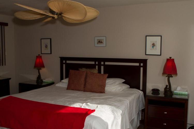 Deluxe King Room