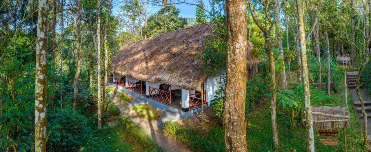 Elegant Room Plantation Walk Tour on F&SB & on SPA