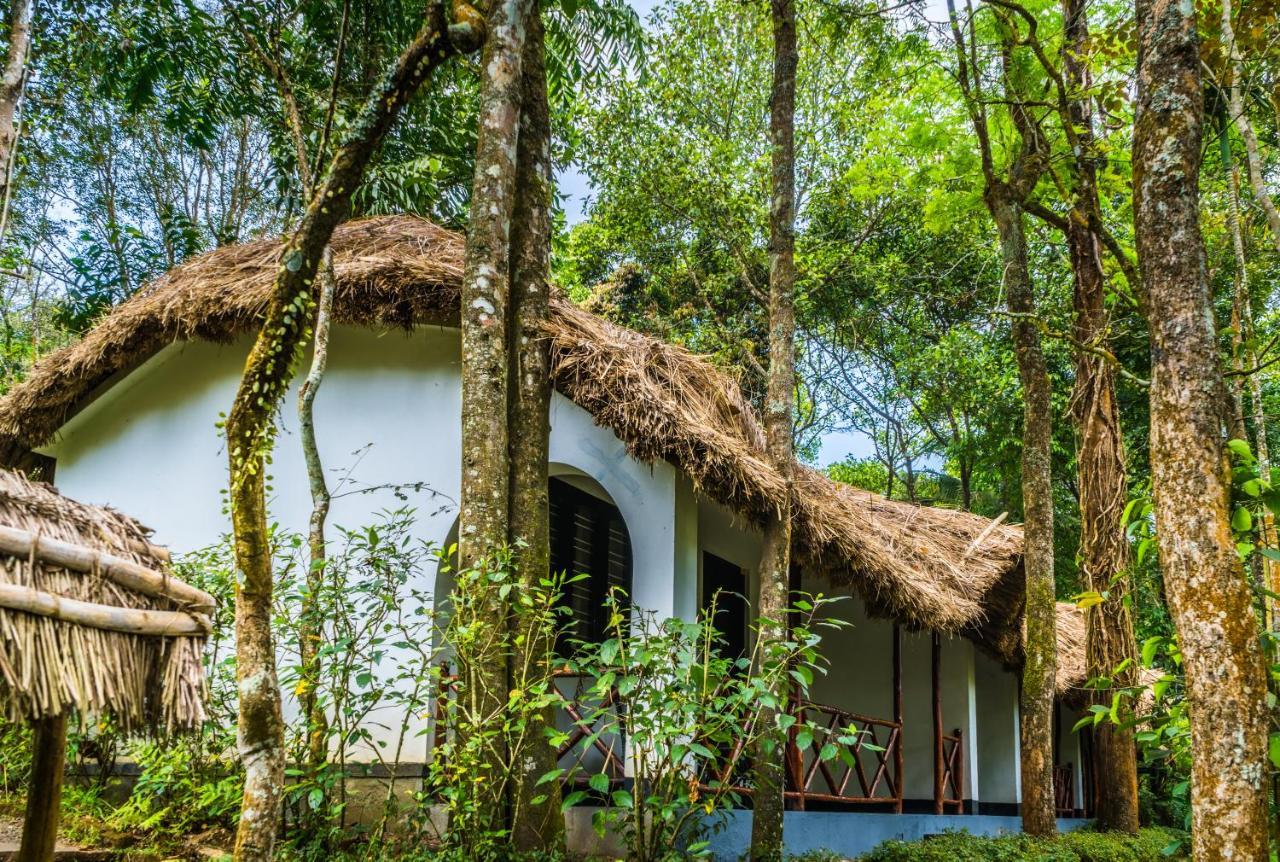 Elegant Room Plantation Walk Tour on F&SB & on SPA
