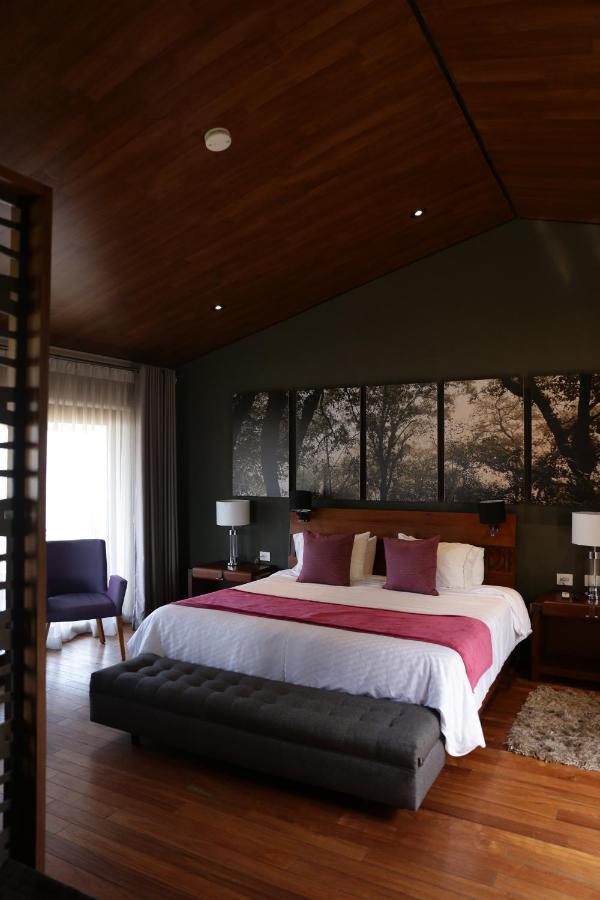 Deluxe Villa 1 King