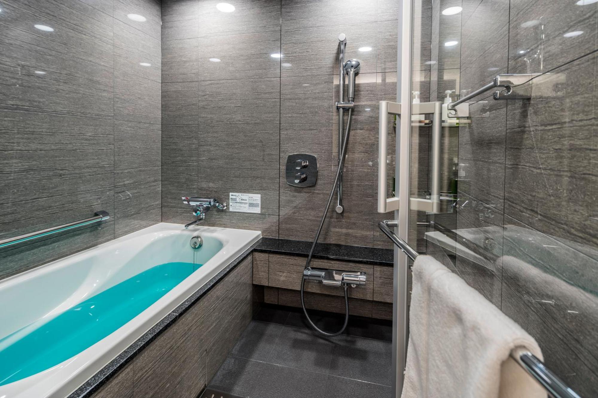 2 Bedroom Executive Suite Kitchenette