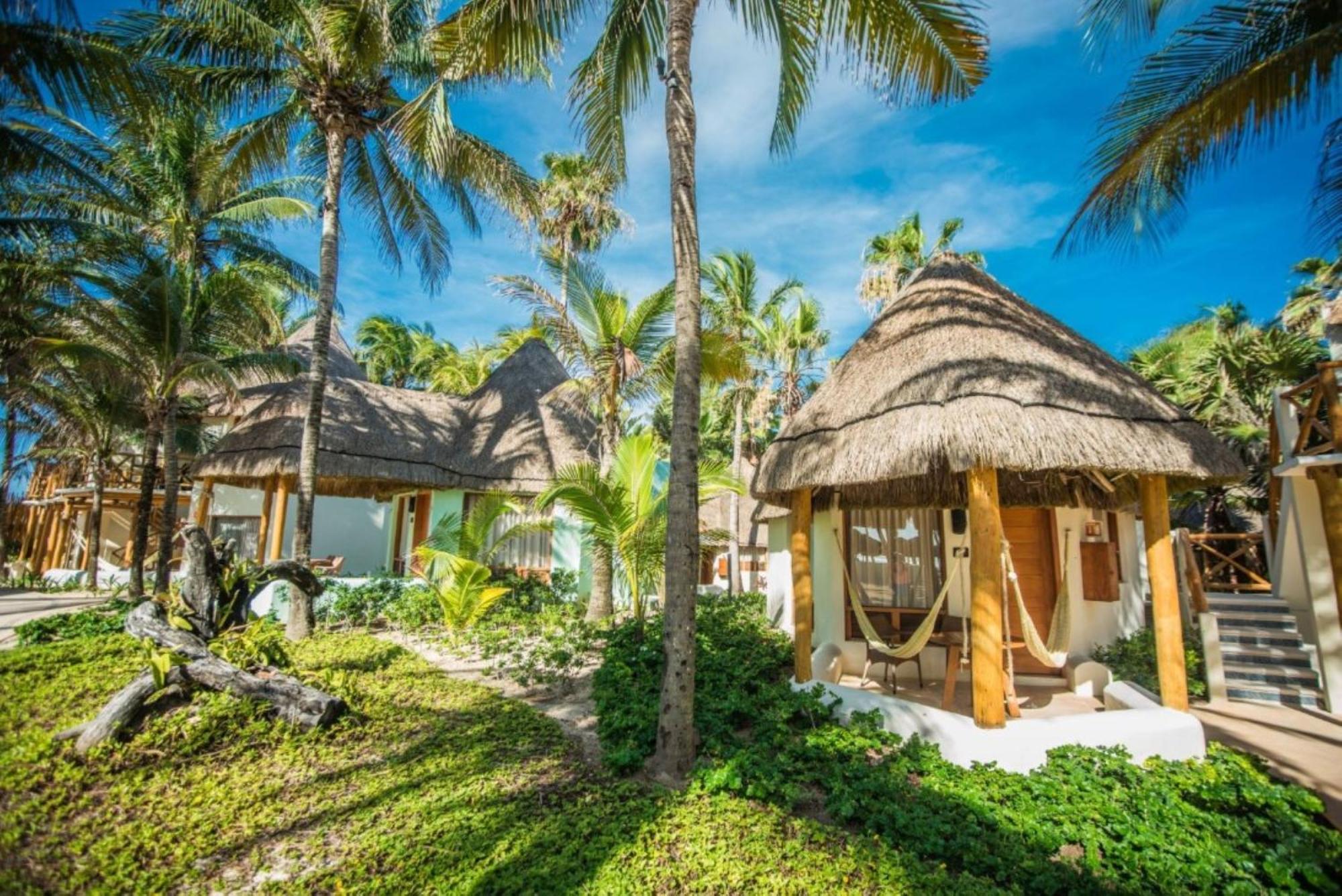 Ocean View Palapa King Bed
