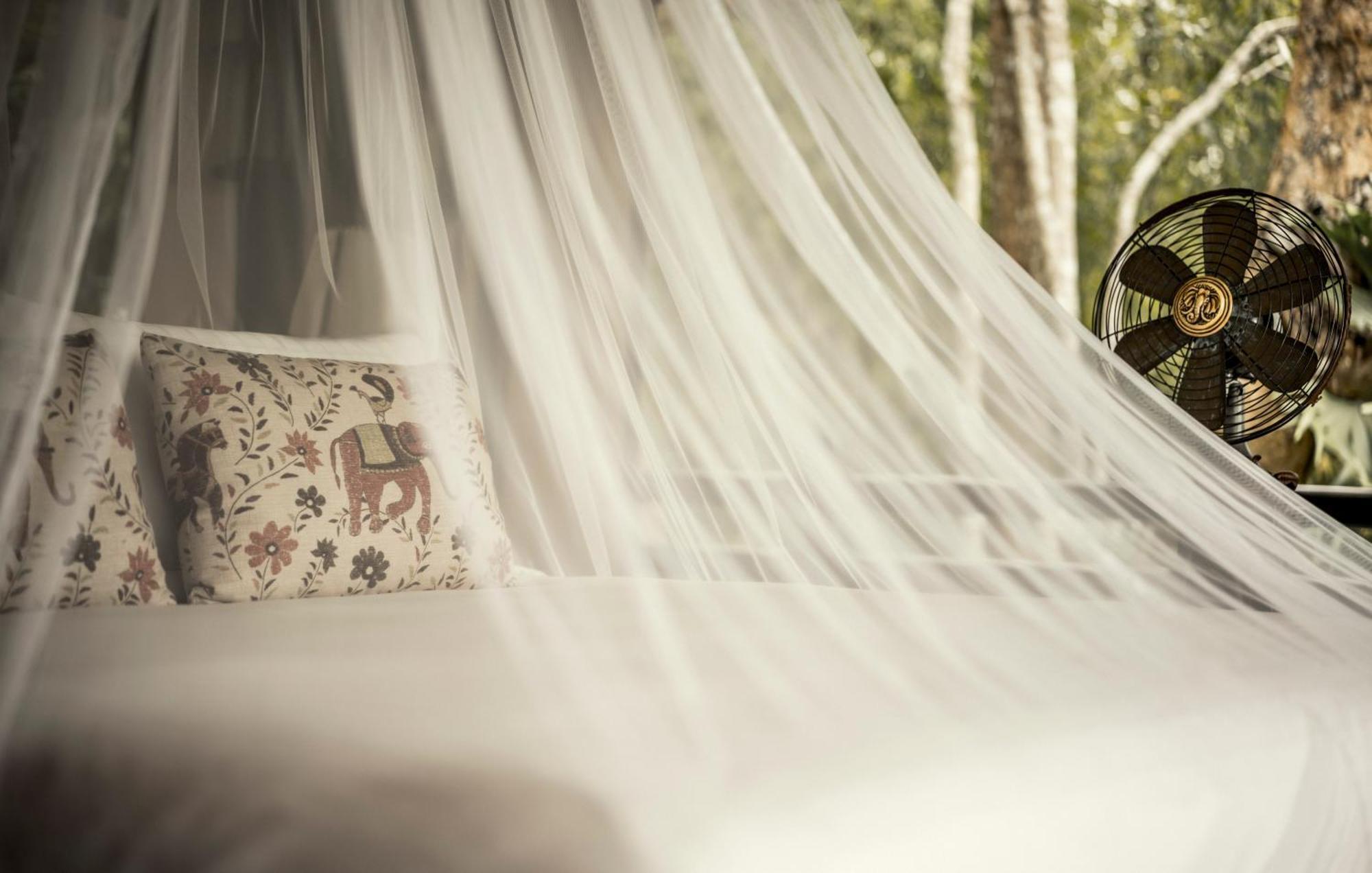 Bamboo Tent King