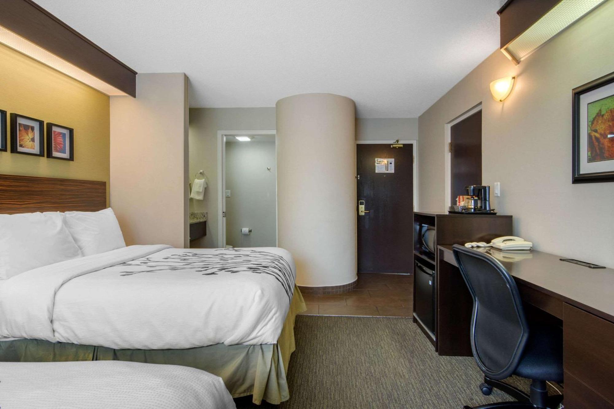 Double Room Two Double Beds Ground Floor