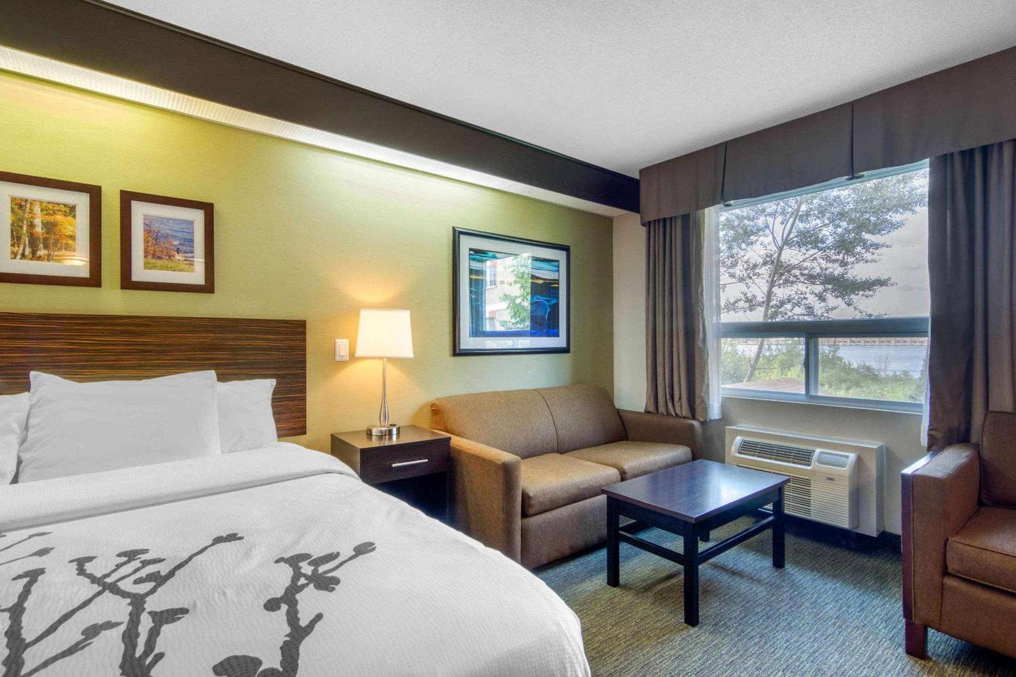 Superior King Room Sofabed Non Smoking