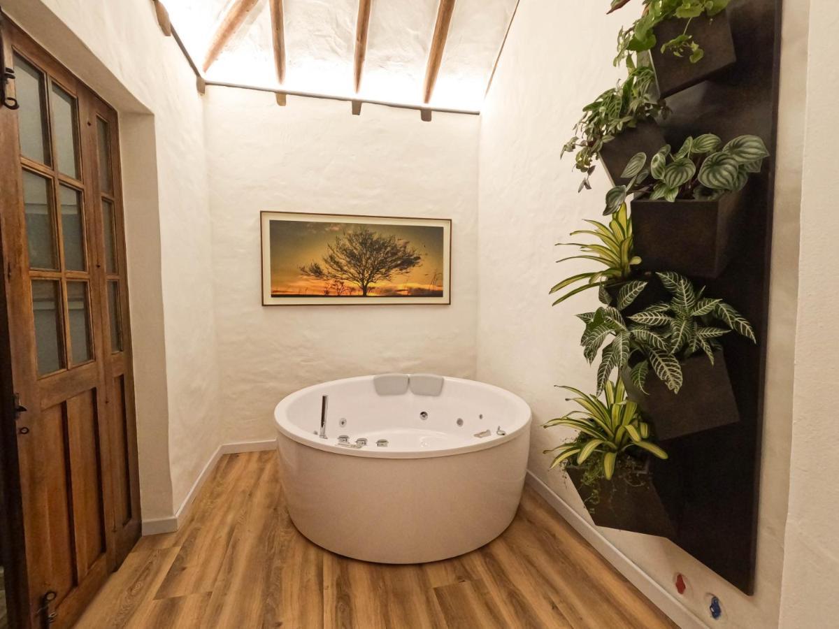 Suite with Terrace