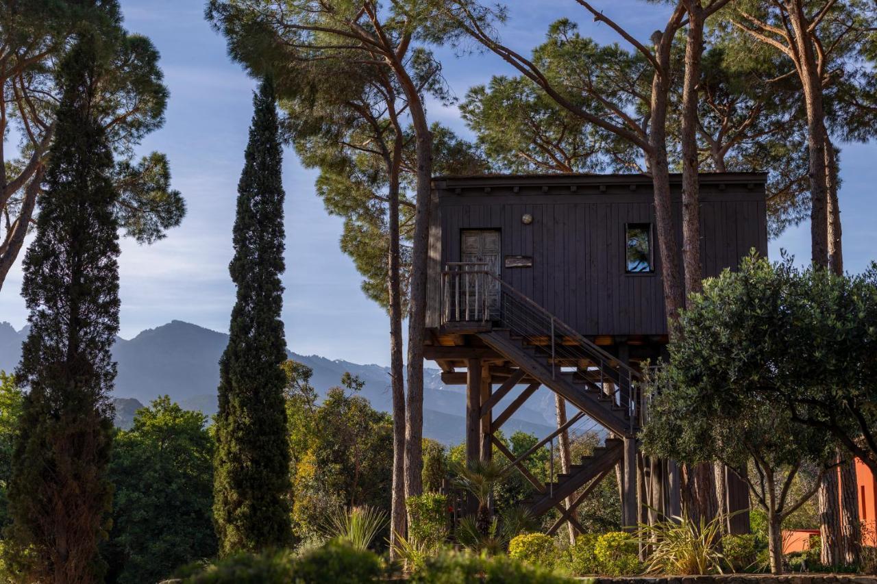 TREE HOUSE