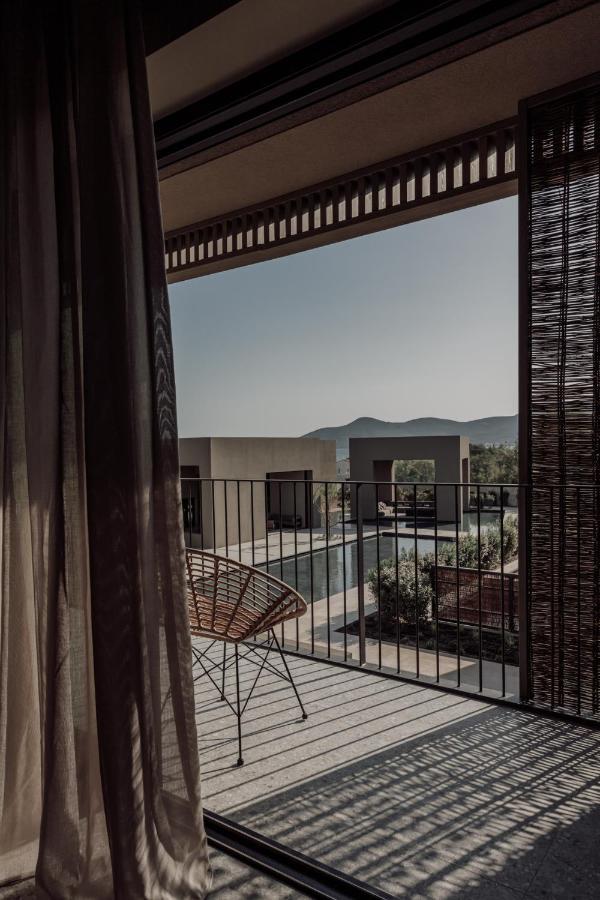 Suite Garden View