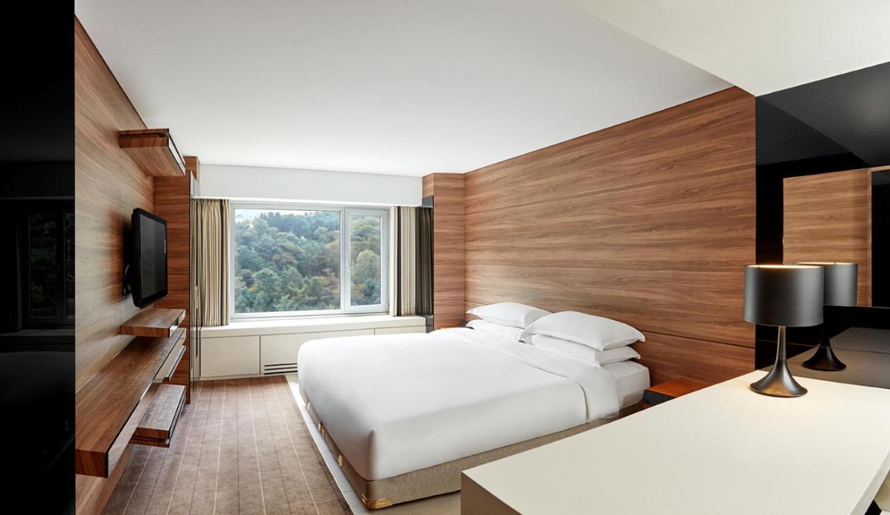 Deluxe Double Room Mountain View