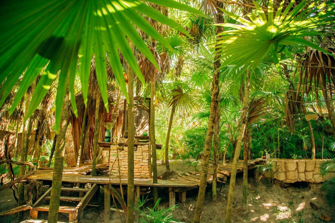 Garden Mayan Suite
