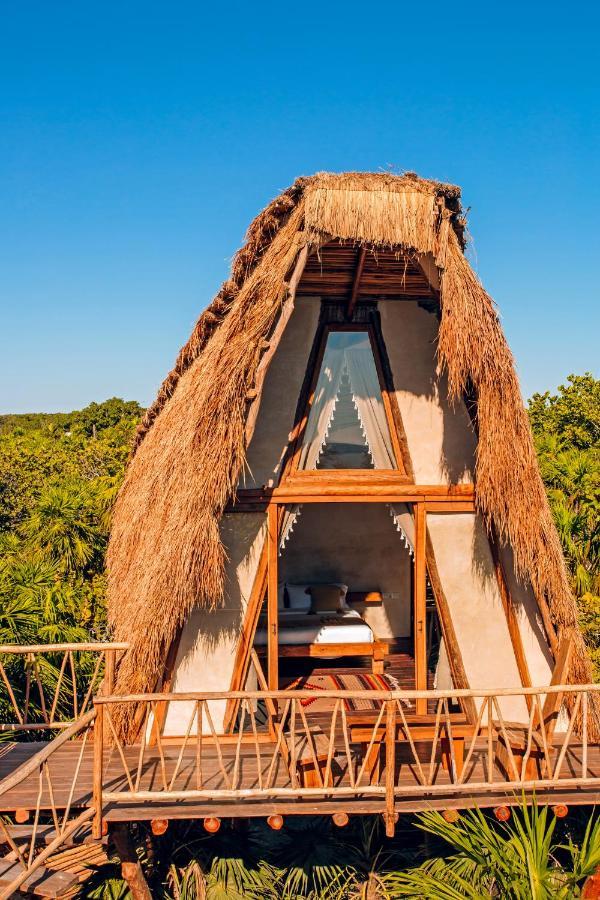 Tree House