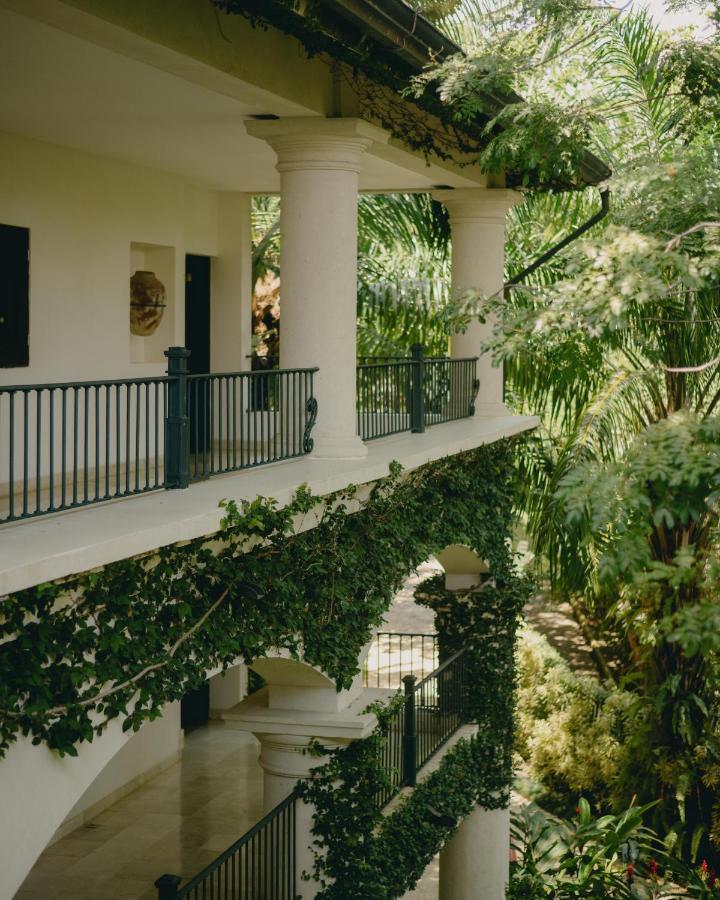 Superior Junior Suite Garden View