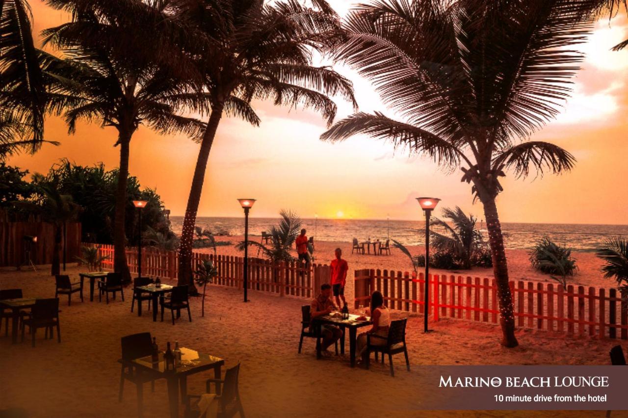 Superior King Room with Complimentary City Tour & Access to Beach Lounge,1400672444:JPEG