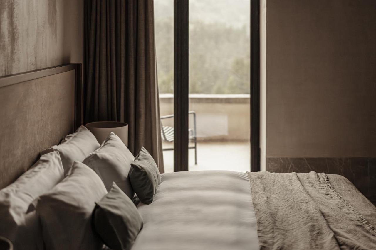 Deluxe Double or Twin Room Mountain View