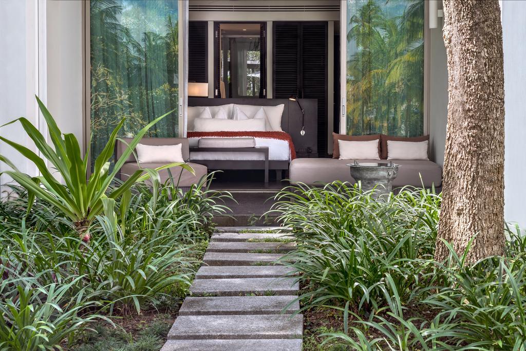 Palm Deluxe,280125657:JPEG