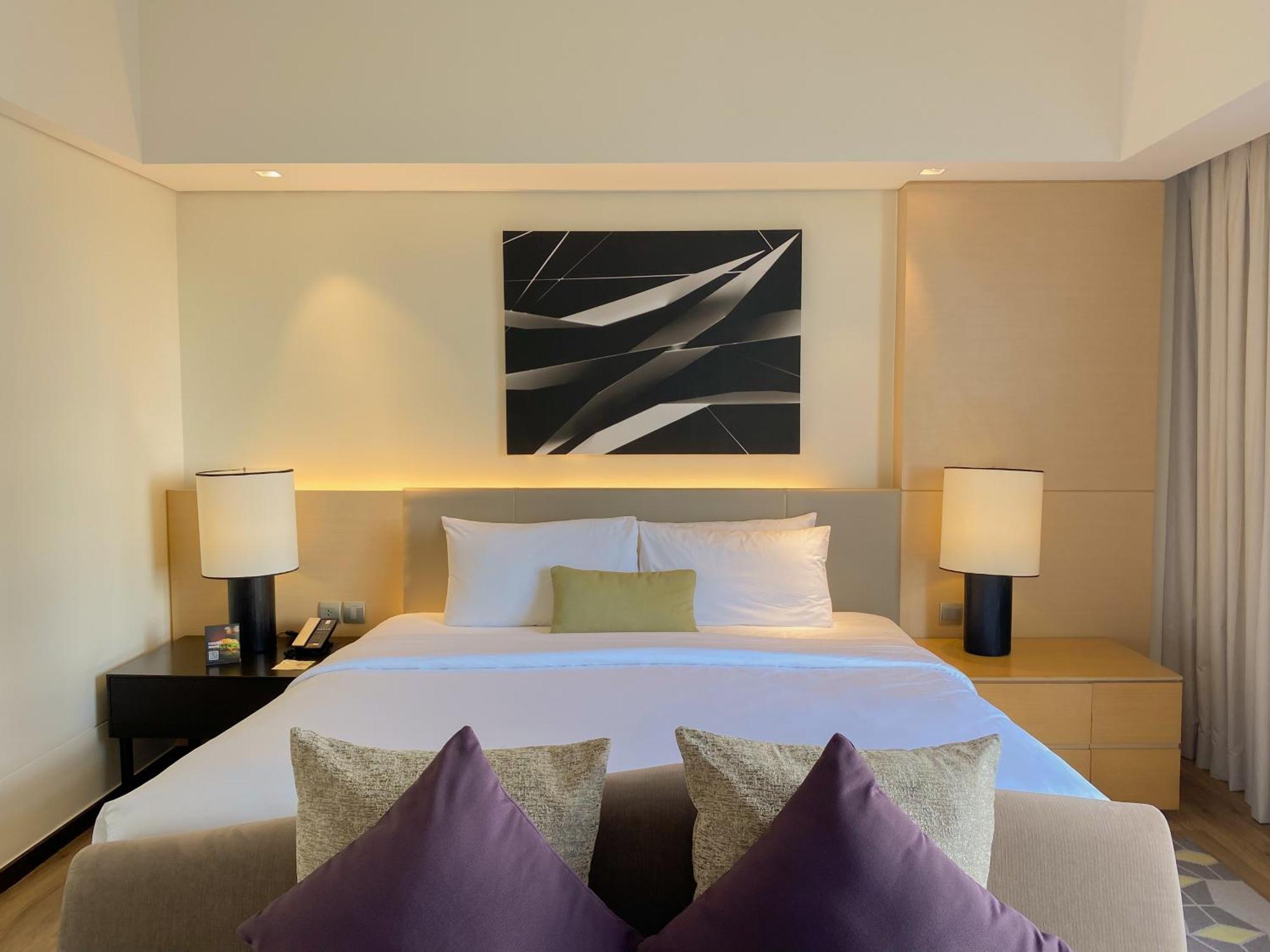 1 King Bed Large Room Lounge Access