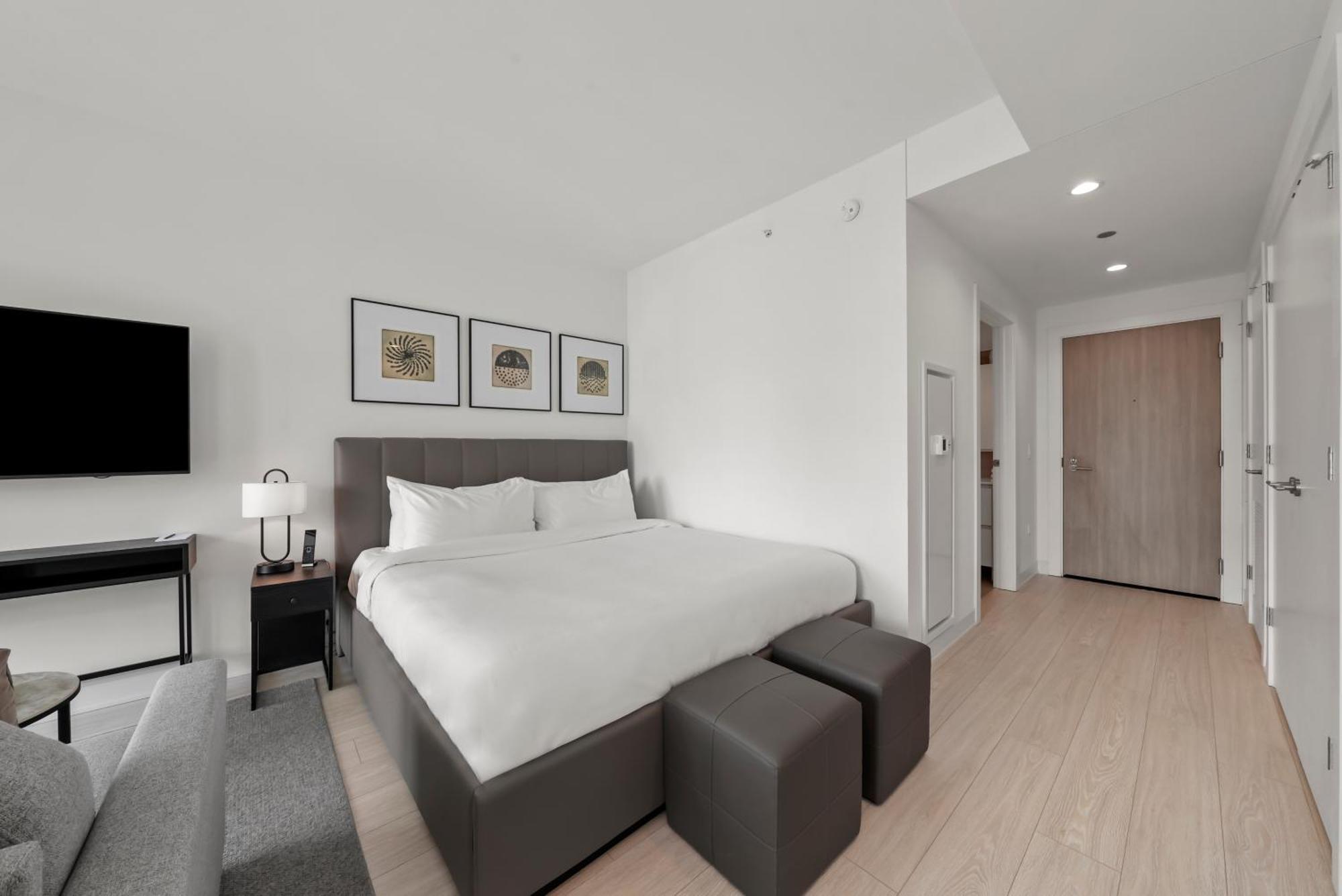 Studio Suite