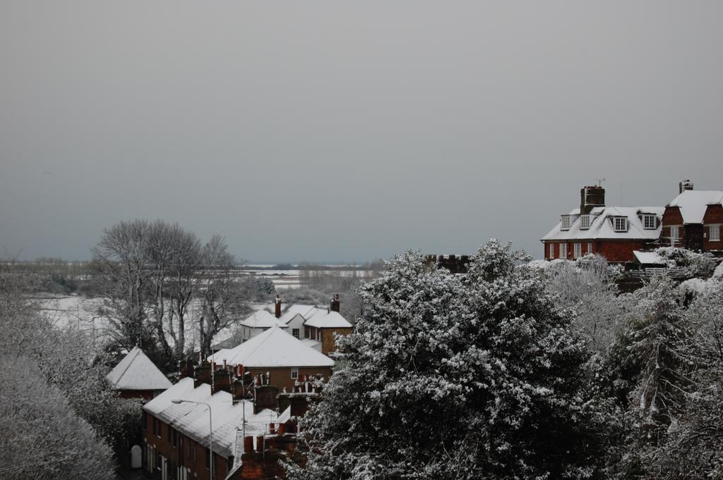 Double Room with Garden View,157274703:JPEG