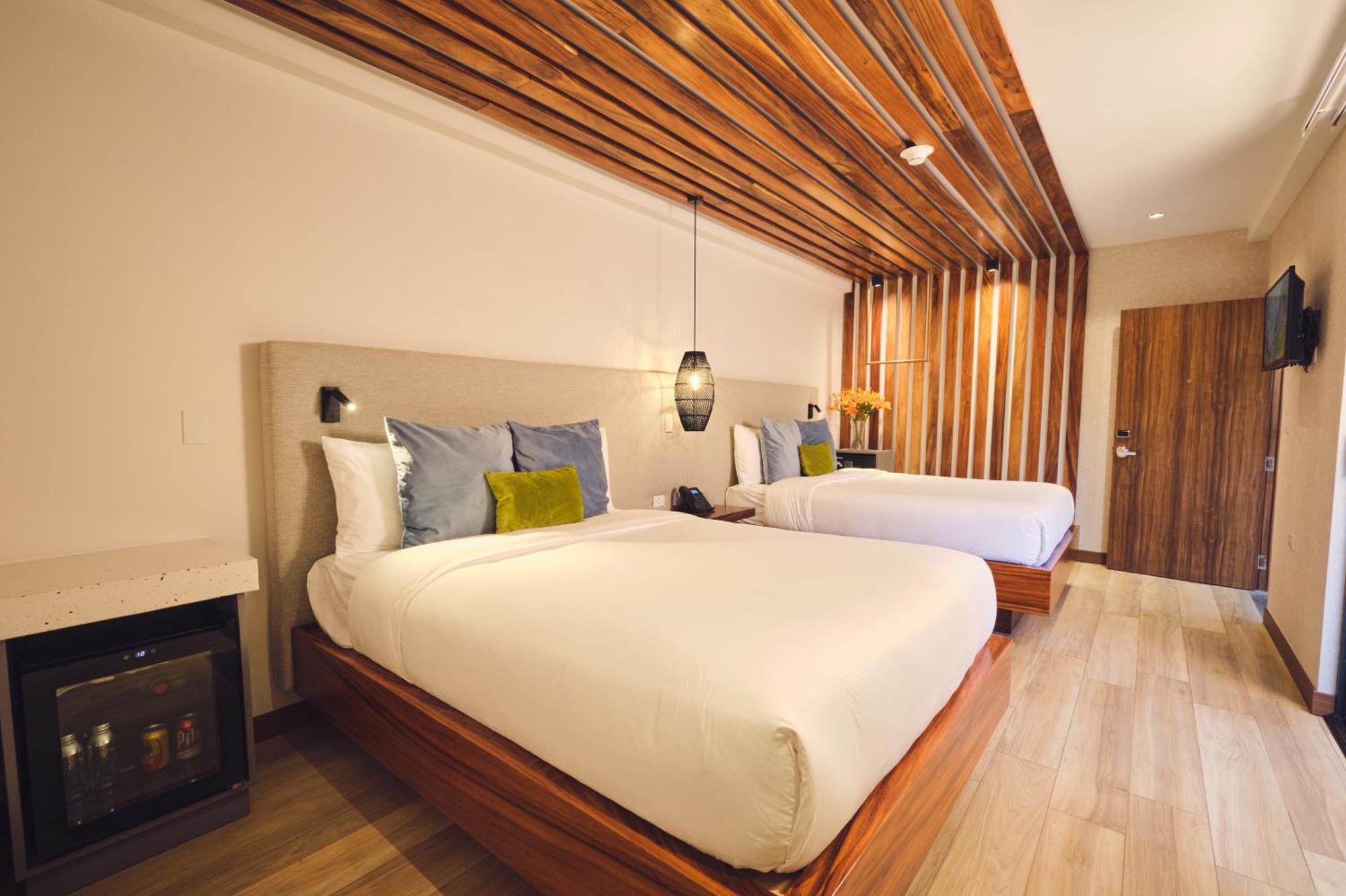 2 Queen Room with Terrace / Sotobosque,1523348143:JPEG