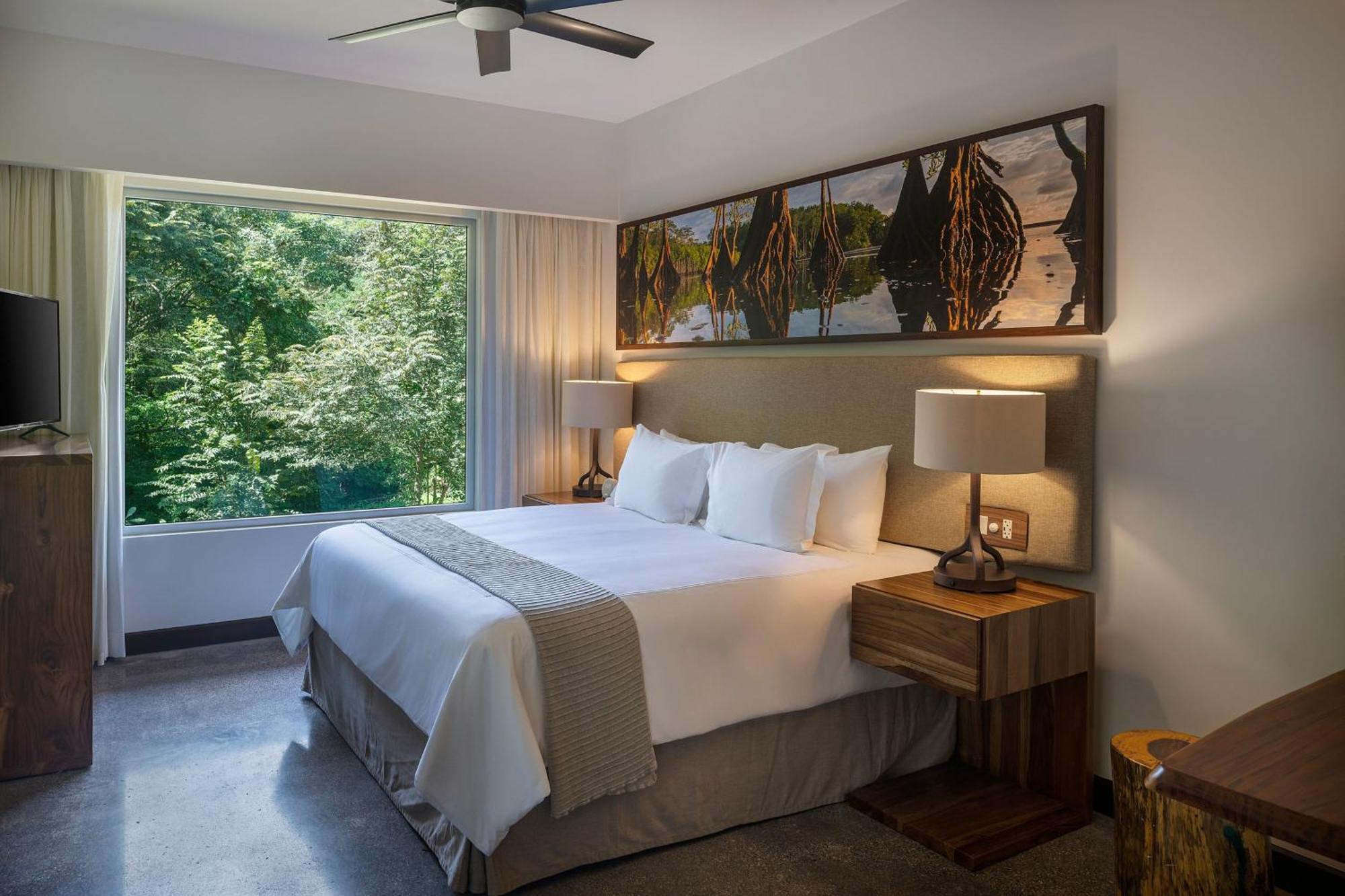 King Suite