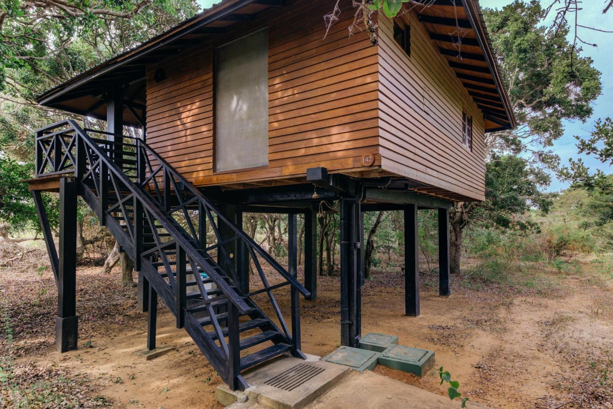 Beach Chalet King Safari | Complimentary cocktail each if reserved during Stargazing experience