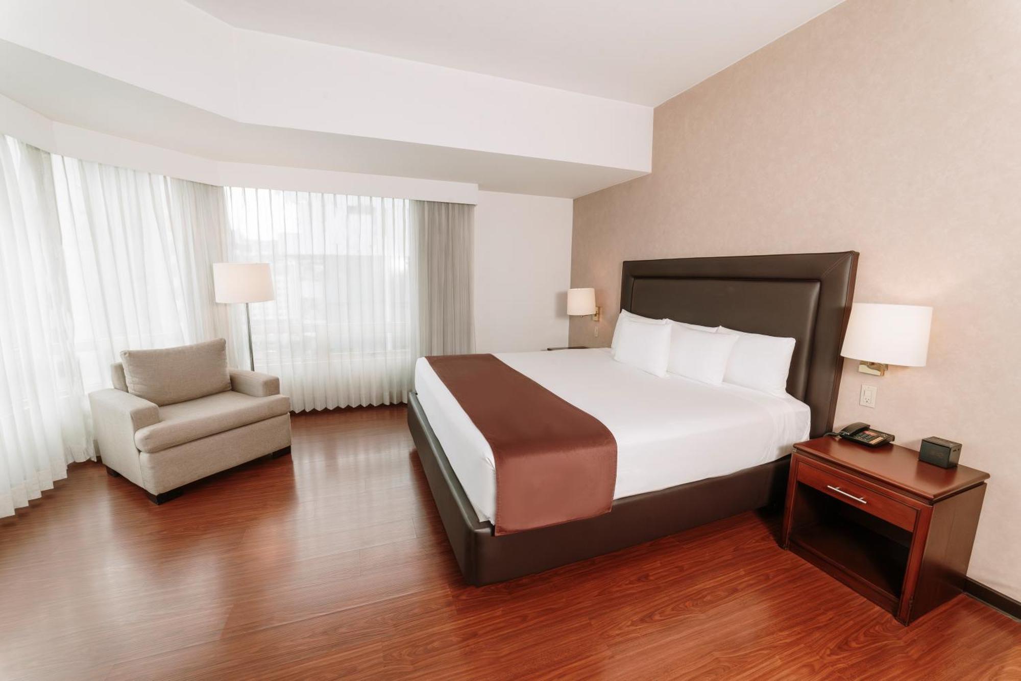 Deluxe Suite, 1 King Bed,1552276243:JPEG