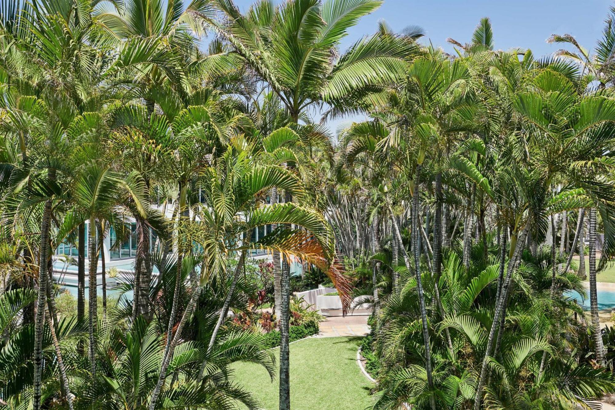 Mirage King Room Resort View