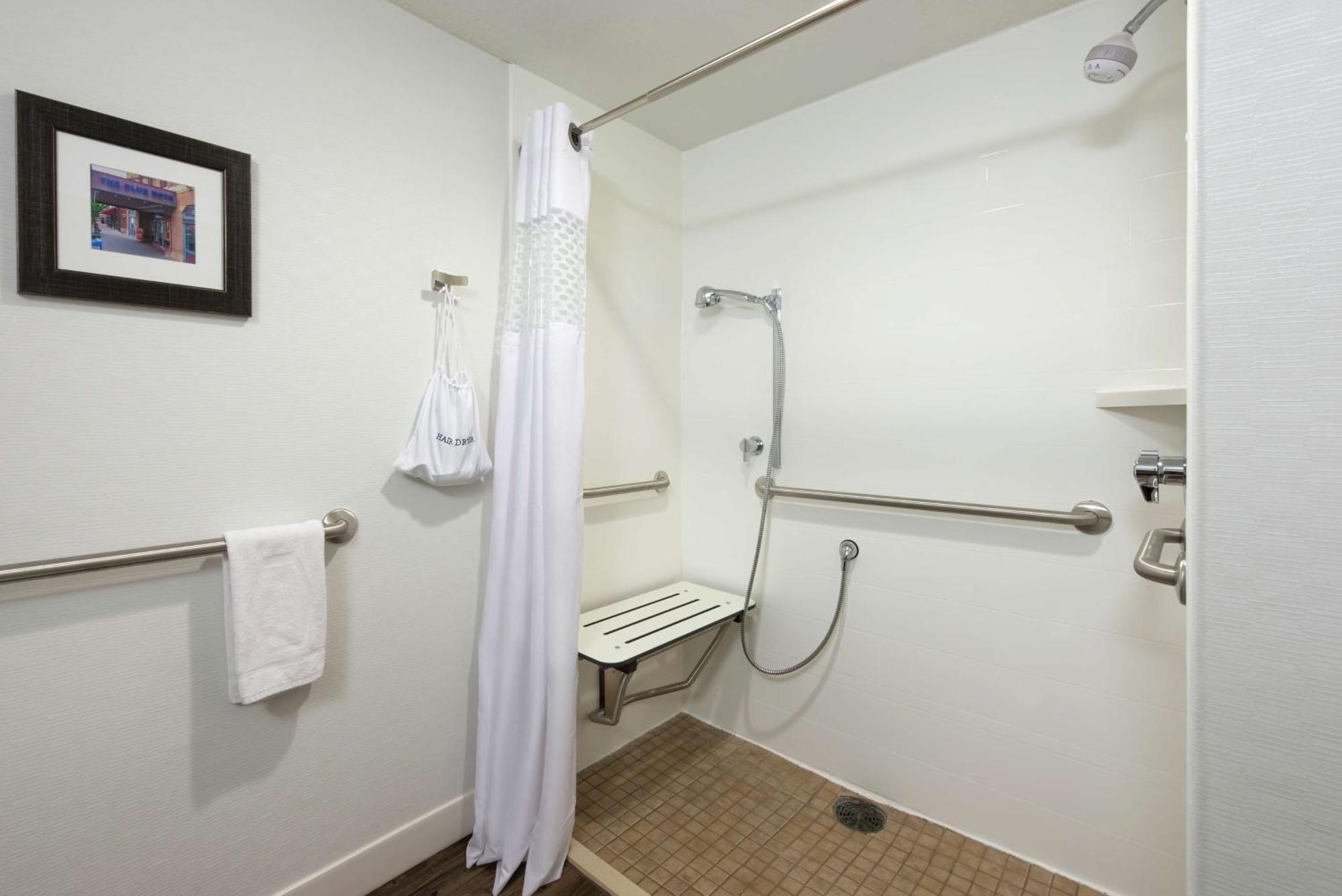 King Room Roll Shower Mobility Access or Non-Smoking