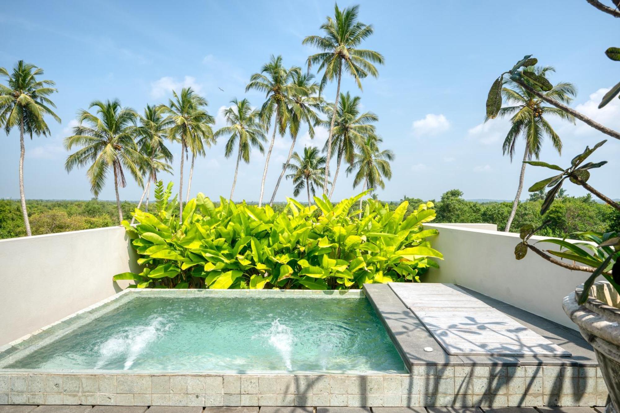 Palm View Suite with Jacuzzi,1487780548:JPEG