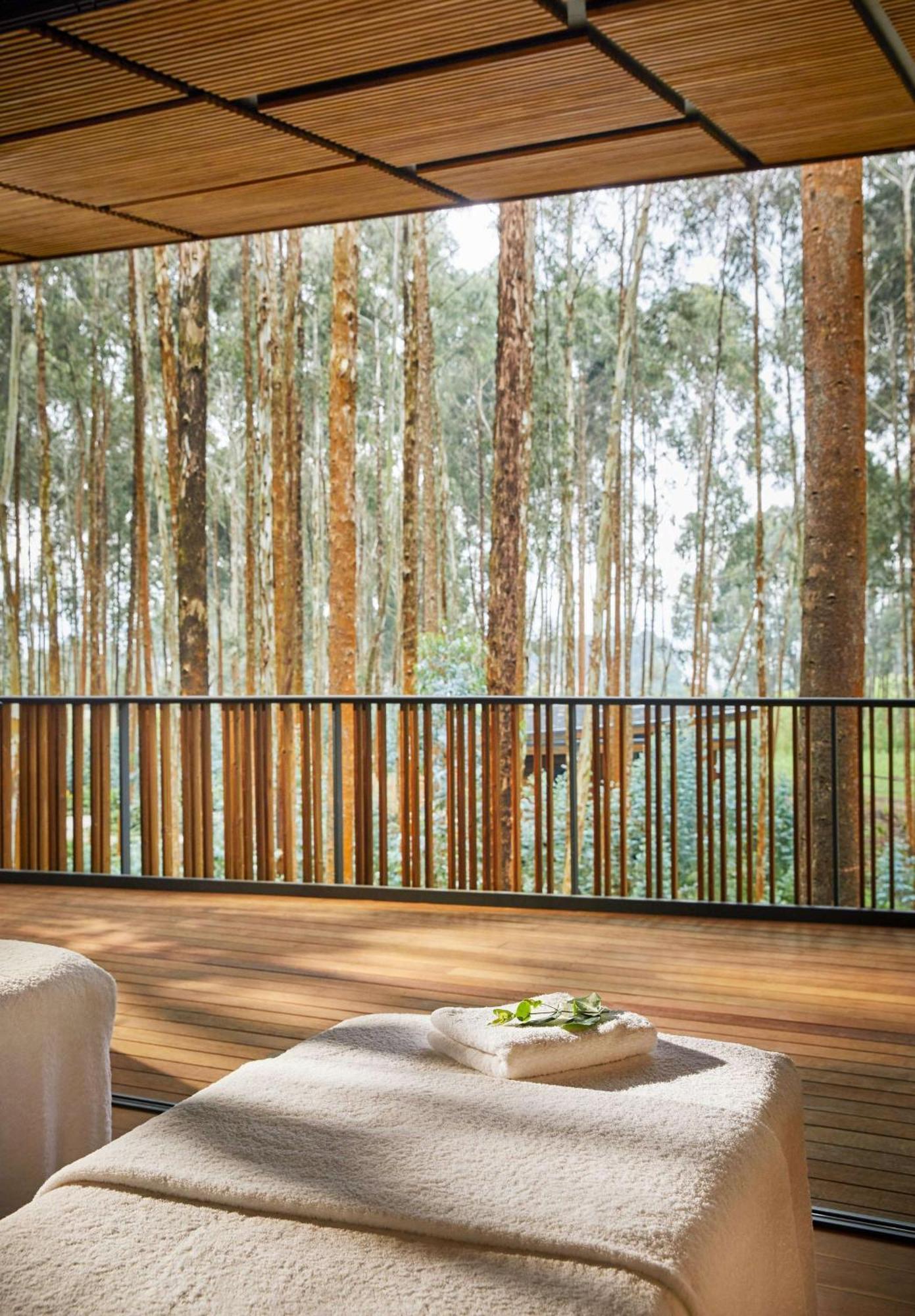 Silverback lodge