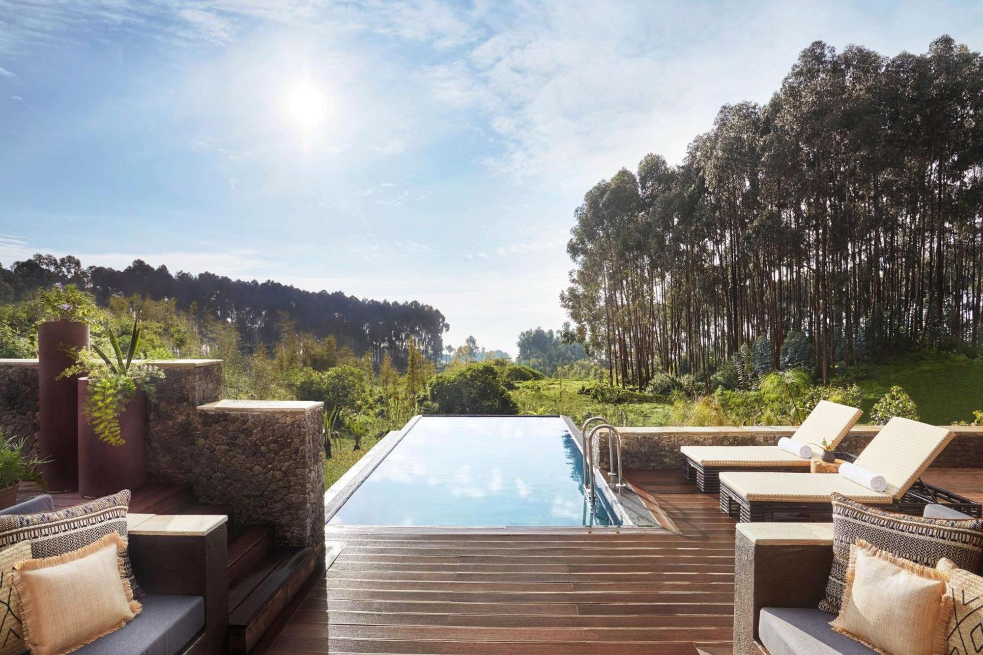 Silverback lodge