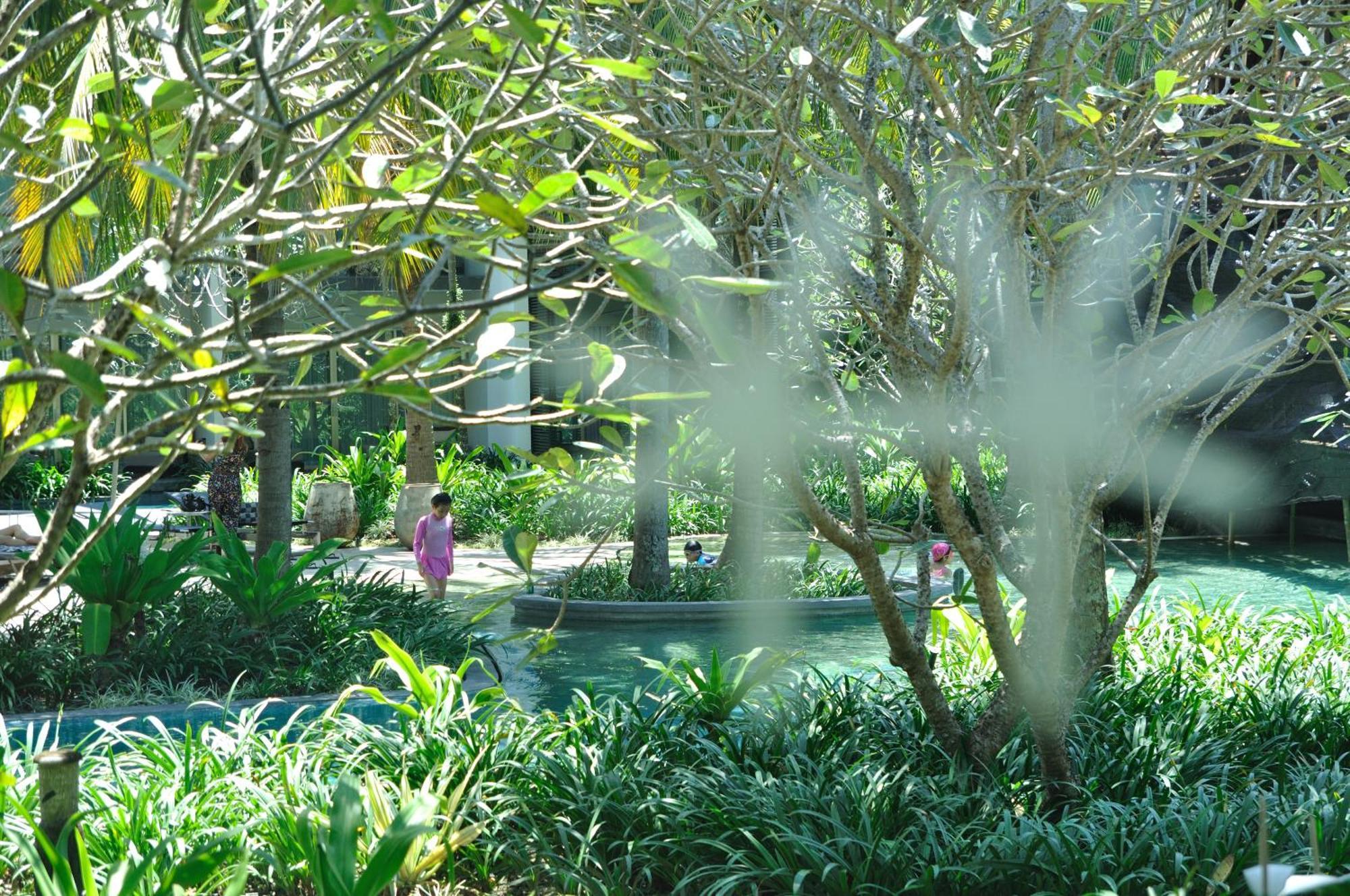 Palm Suite