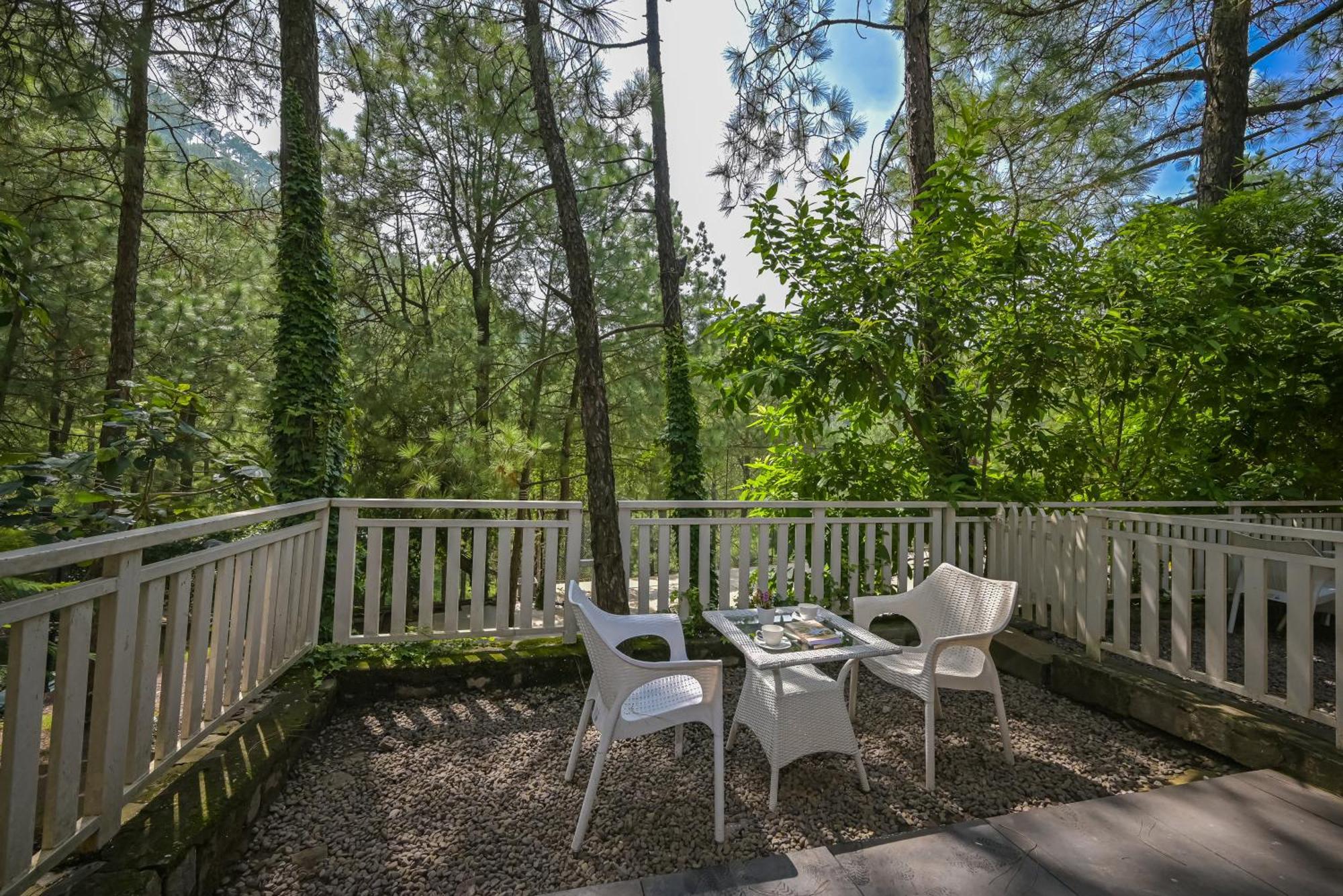 Cottage Garden View