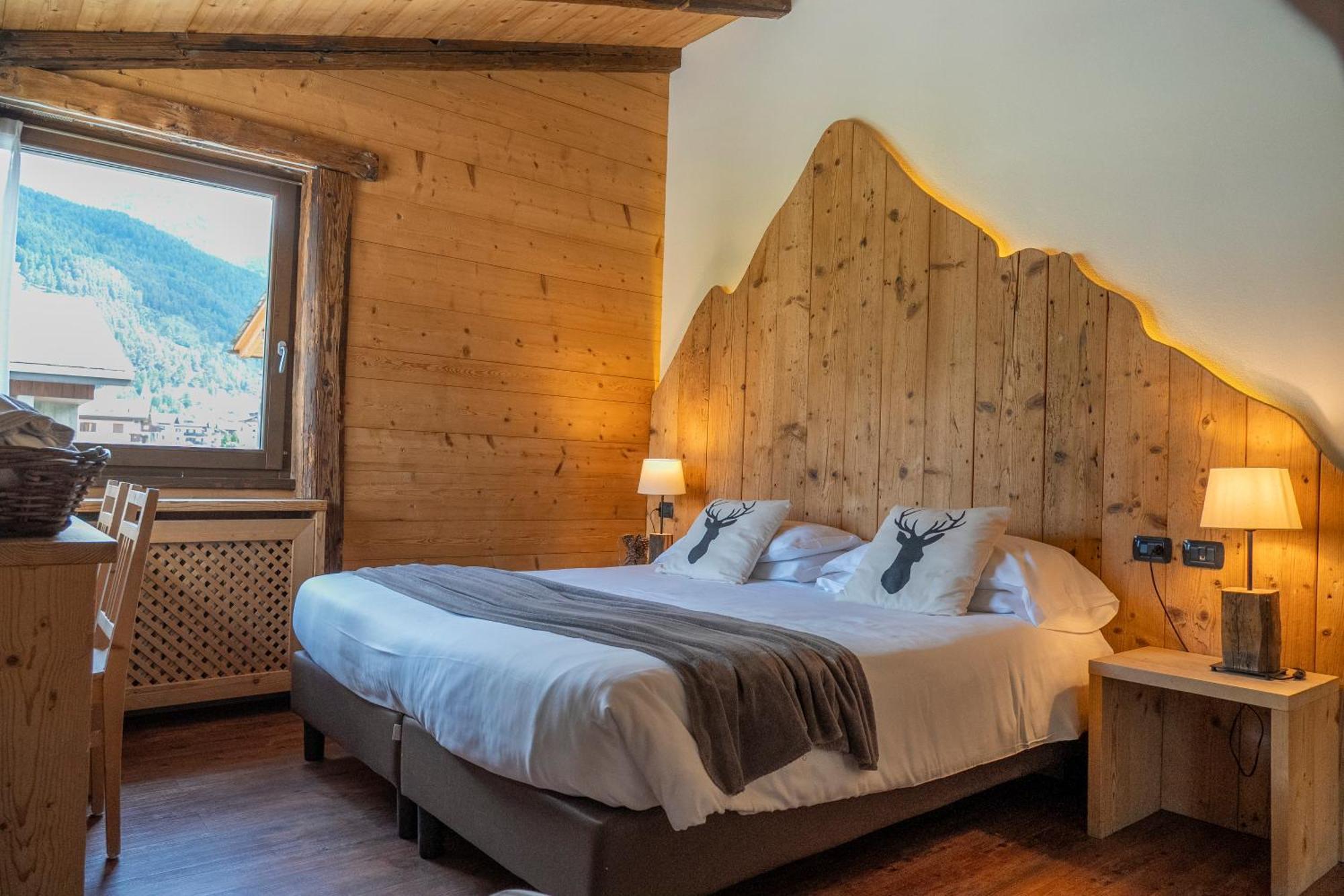 Superior Double or Twin Room Mountain View