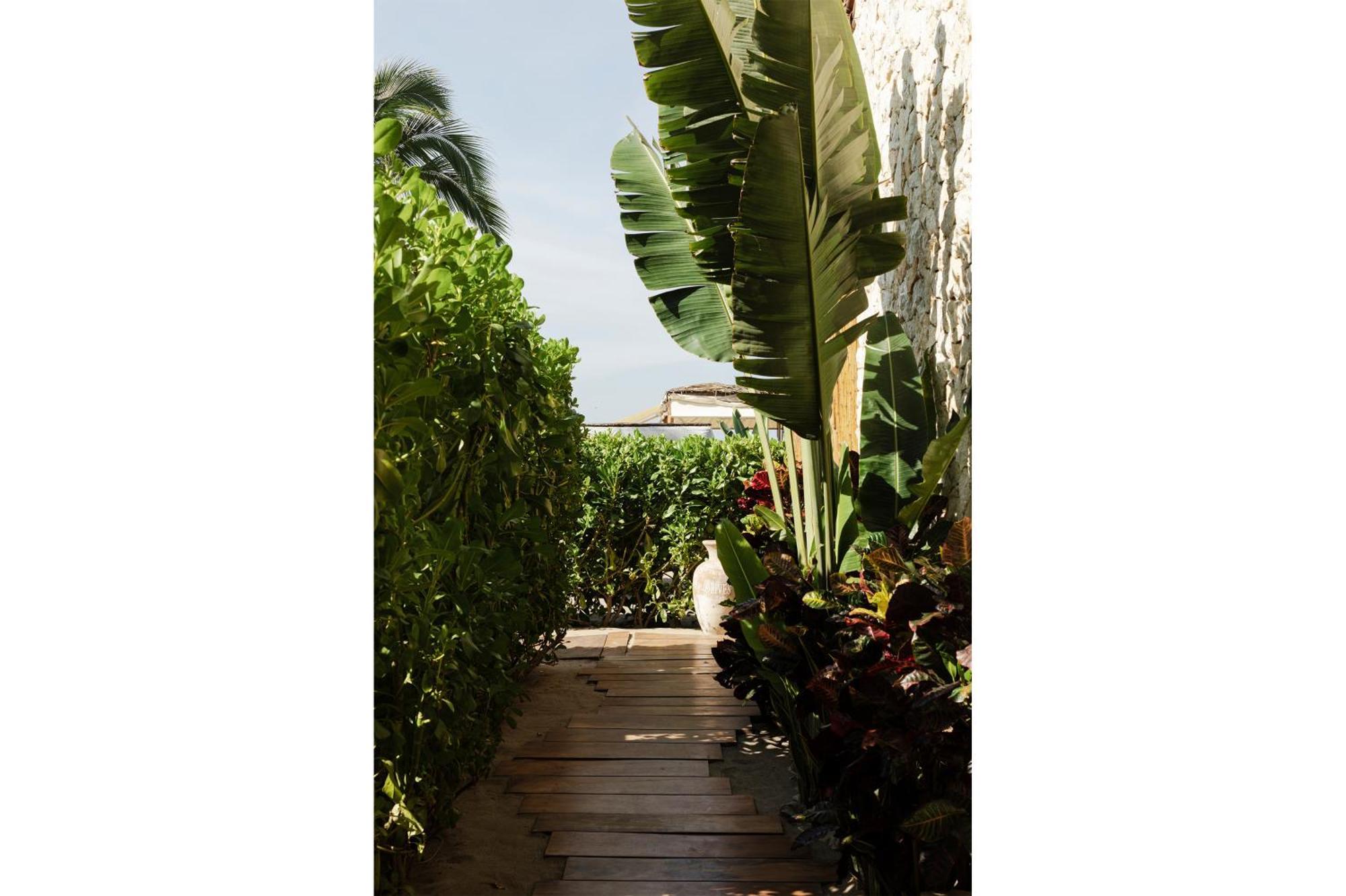 Suite Garden View