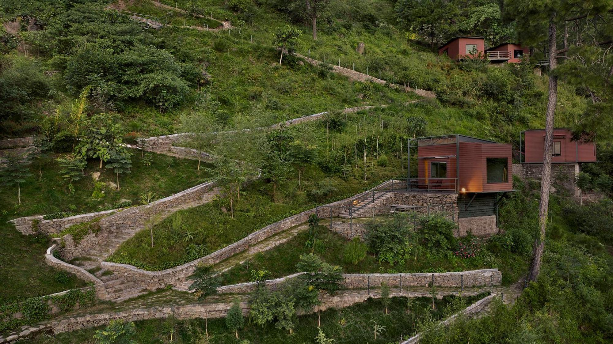 Forest Pods