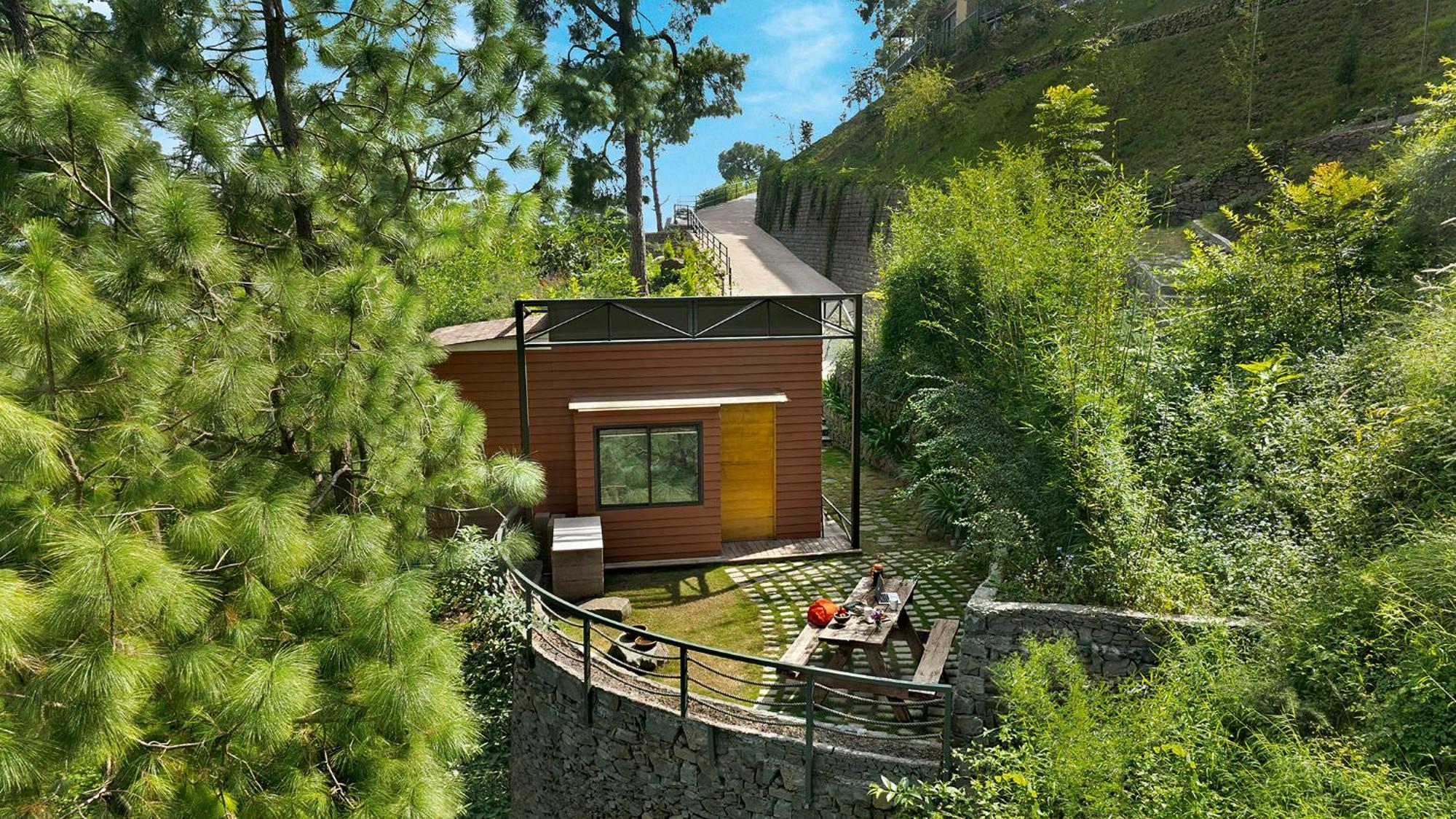 Forest Pods