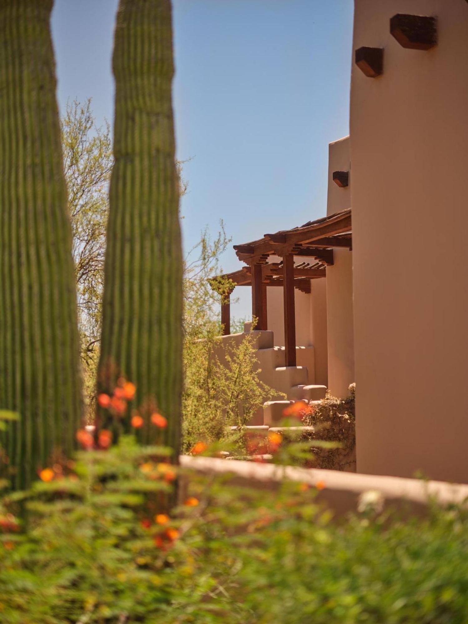 Premier Casita King Room Accessible