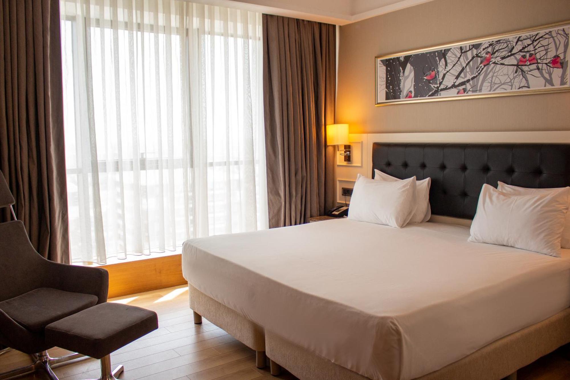 Guest Room,1723002522:JPEG