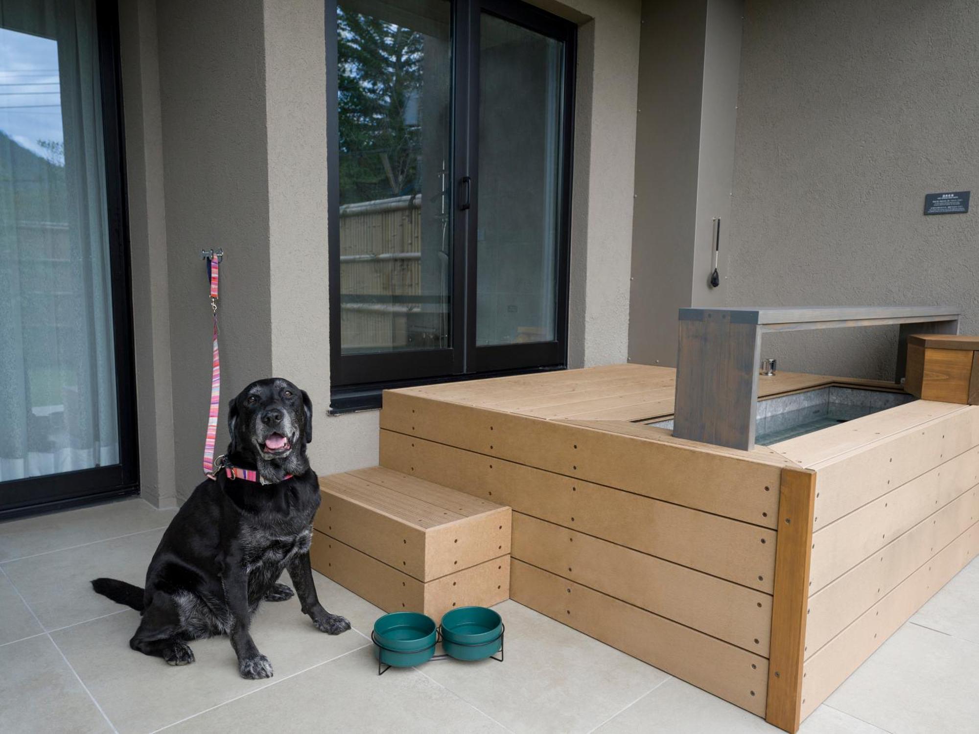[F]2 Double Beds Dog-Friendly