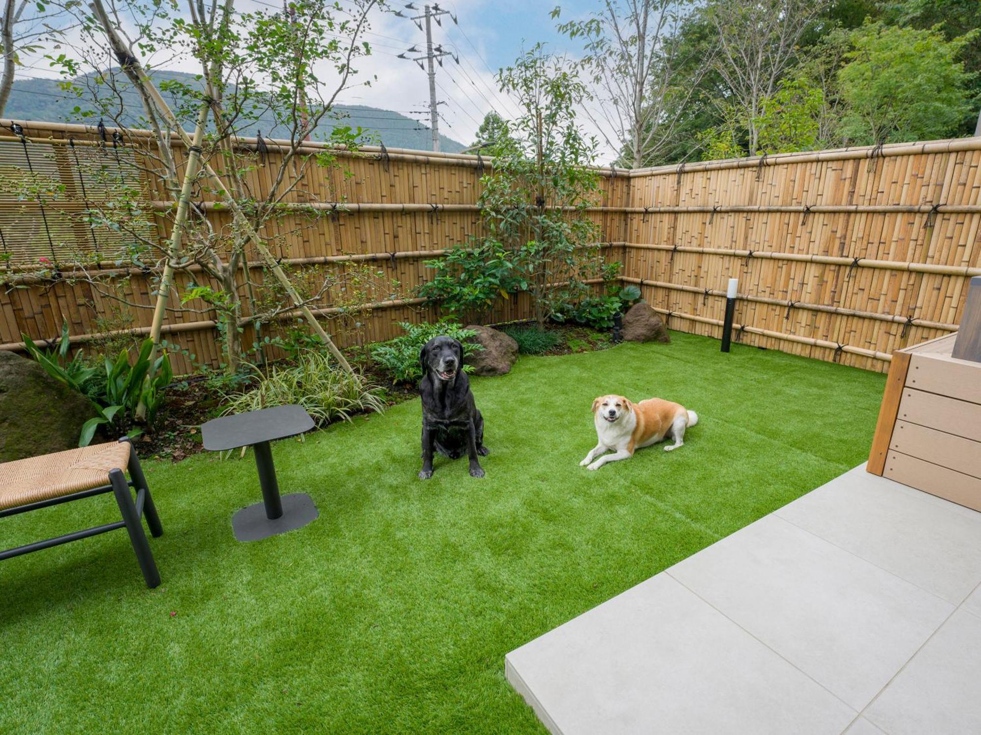 [F]2 Double Beds Dog-Friendly