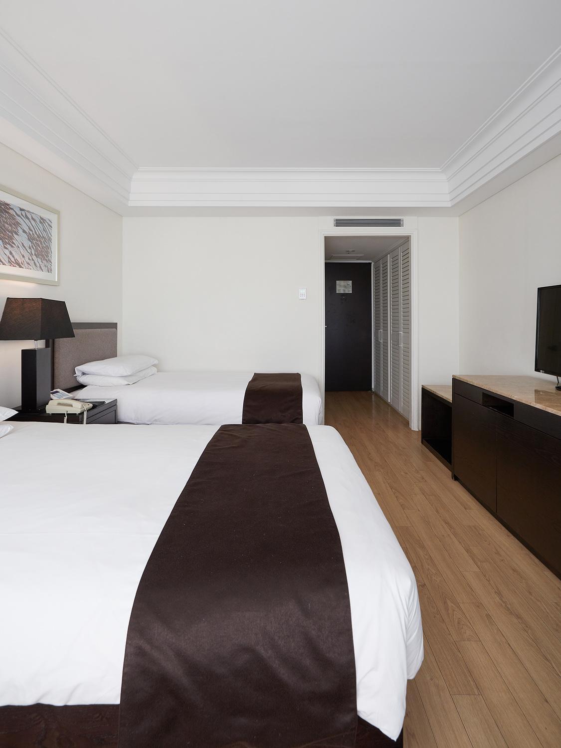 Deluxe Twin City View